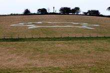 The big sheep art project at Humphrey's Hill, Sheppey