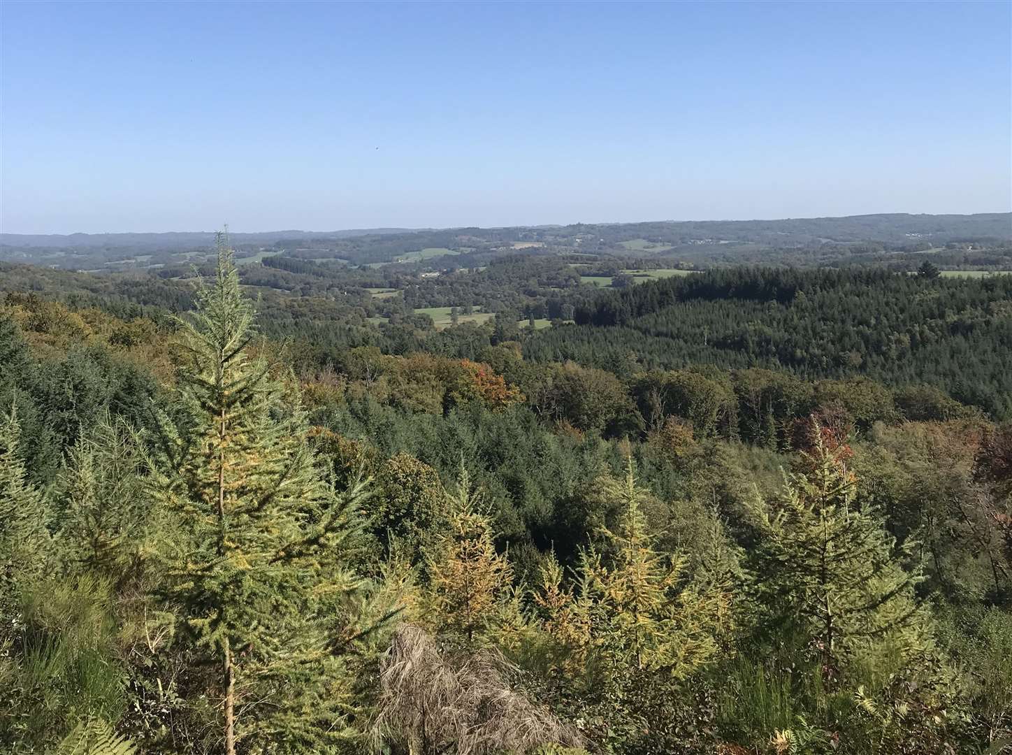 The view from the Chez Jallot in France. Picture: Heidi Muir