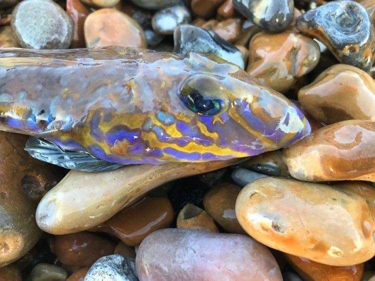 The colourful fish was found in Walmer near Deal. Picture: Jerry Styles