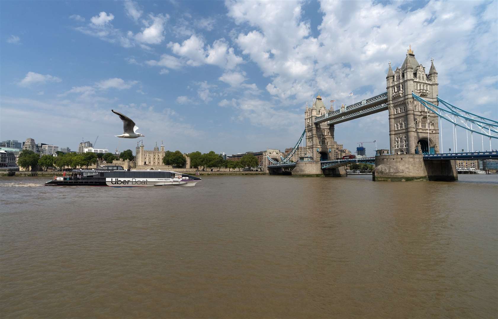 Uber Boat travelling from Gravesend to London. Picture; Mickey Lee mediamixer.co.uk