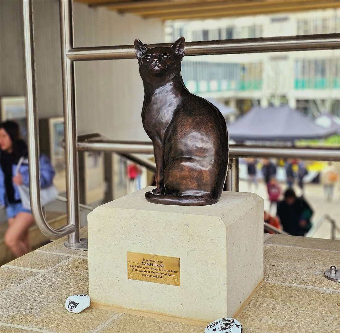 The statue of Pebbles at the University of Essex (University of Essex/PA)