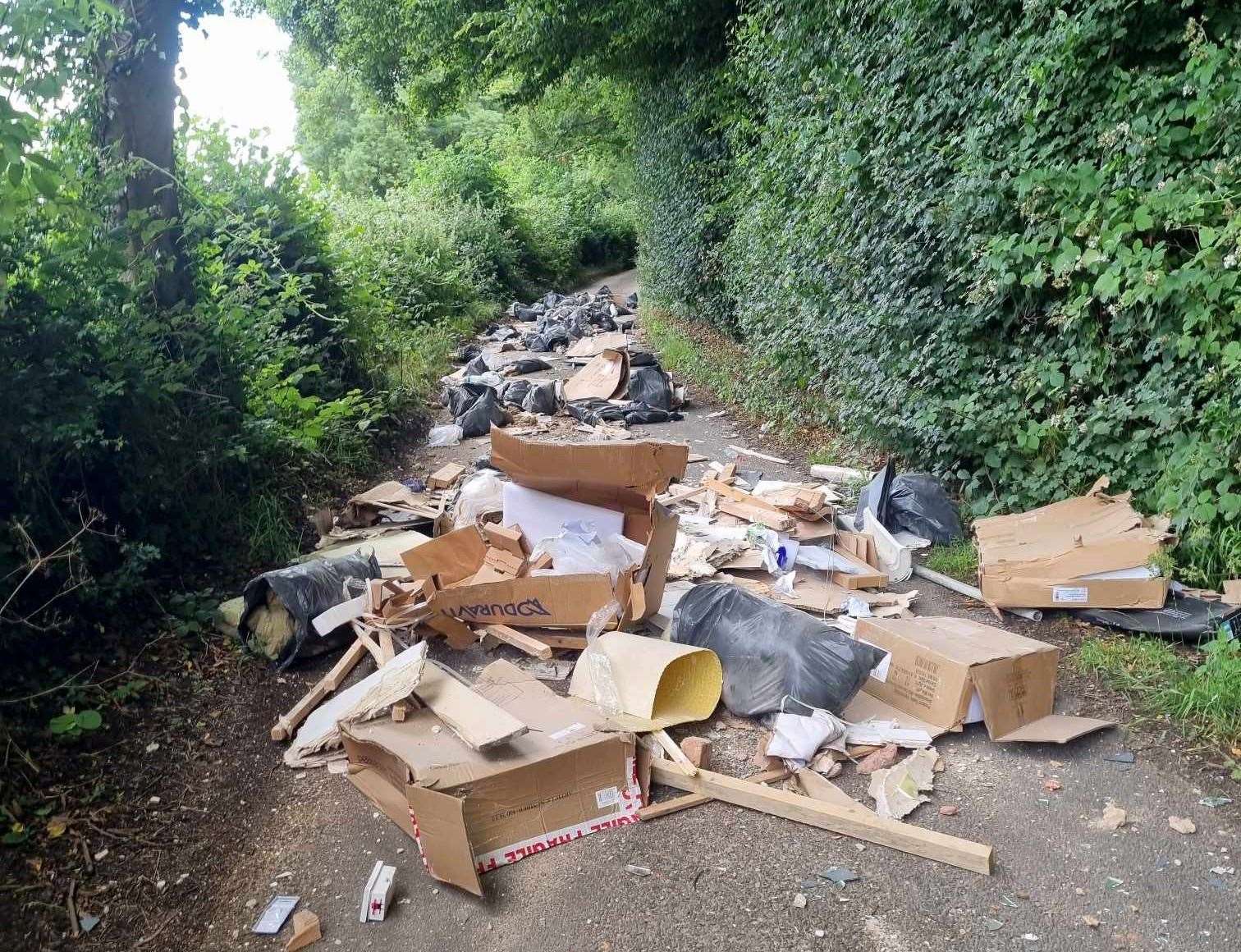 Fly-tipping on Three Gates Road in Longfield. Picture: Steve Hunt