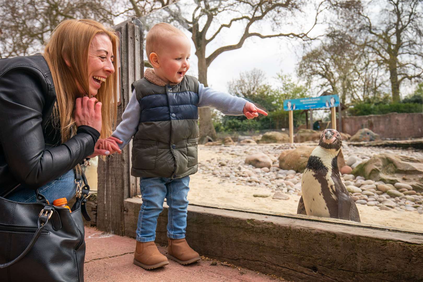 Ami Spillman and Zack visit the penguins at London Zoo in Regent’s Park (Aaron Chown/PA)