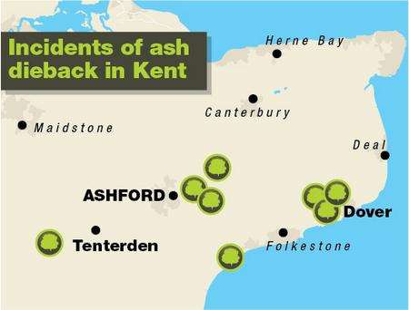 Ash dieback map graphic