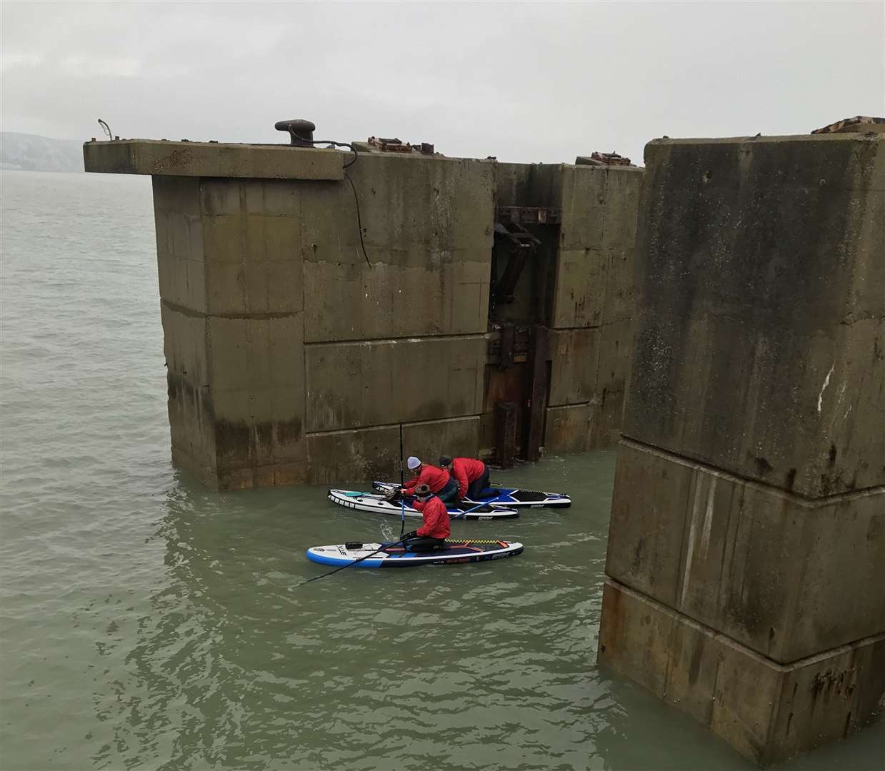 The gull was landed safely on the paddleboard, but its injuries were very serious. Picture: RSPCA