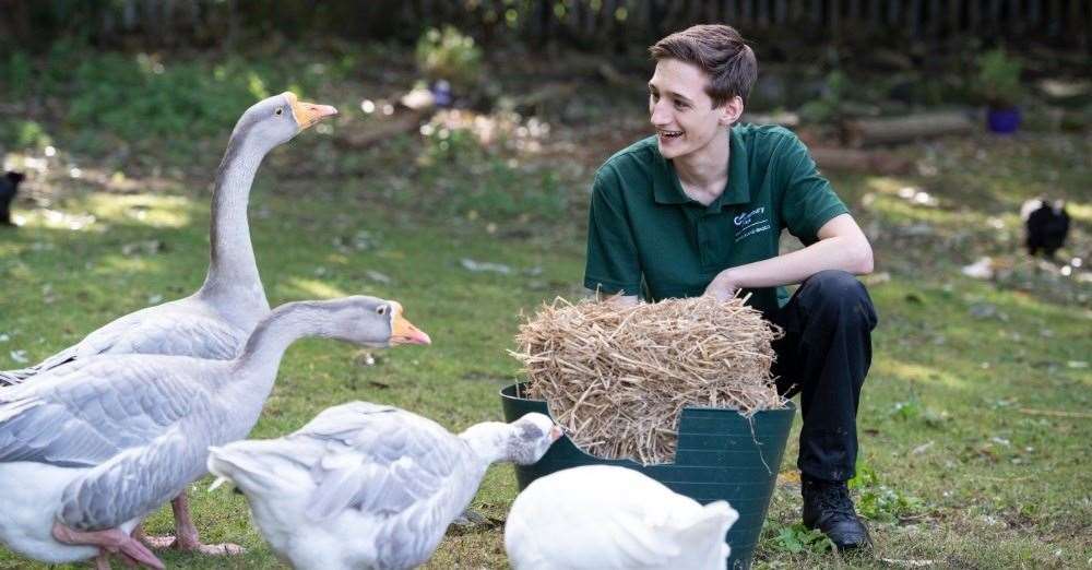 The extensive grounds allow students to develop a wide range of skills including how to grow fresh produce for animals and maintain wildlife areas.