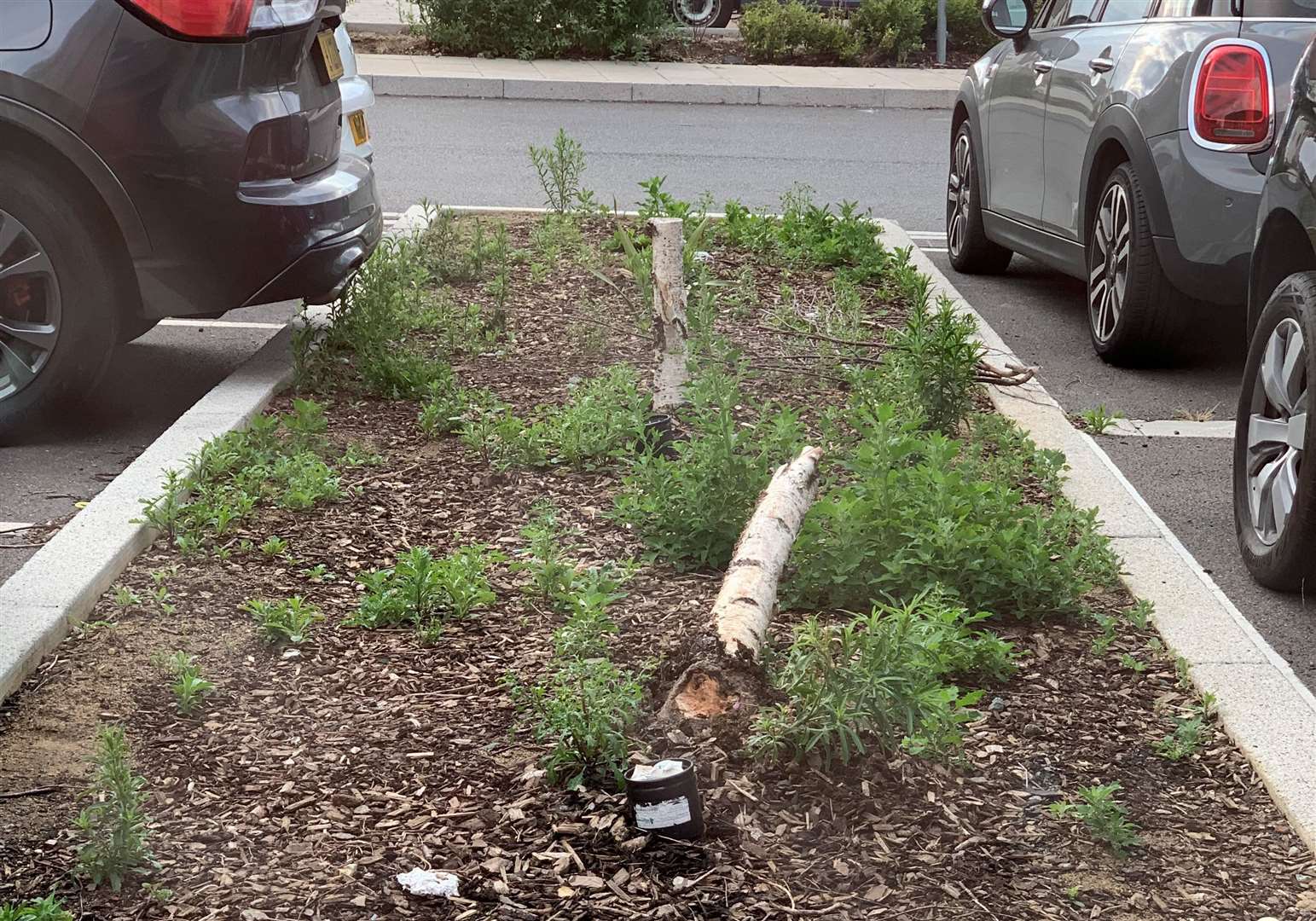 The poor parking by Cardinal Court in Ebbsfleet Garden City. Picture: Alina Agarkova