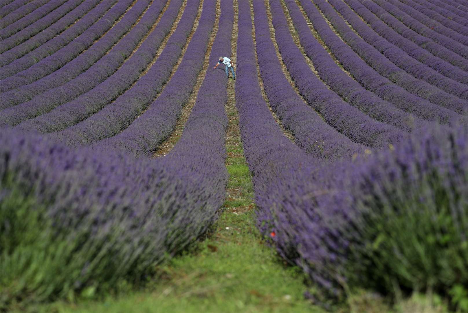 (Andrew Matthews/PA)