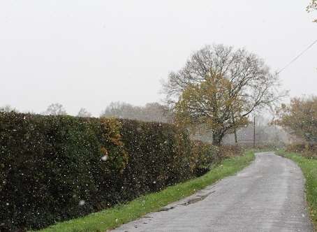 A wintry lane in Frittenden. Picture: Clodagh Norton