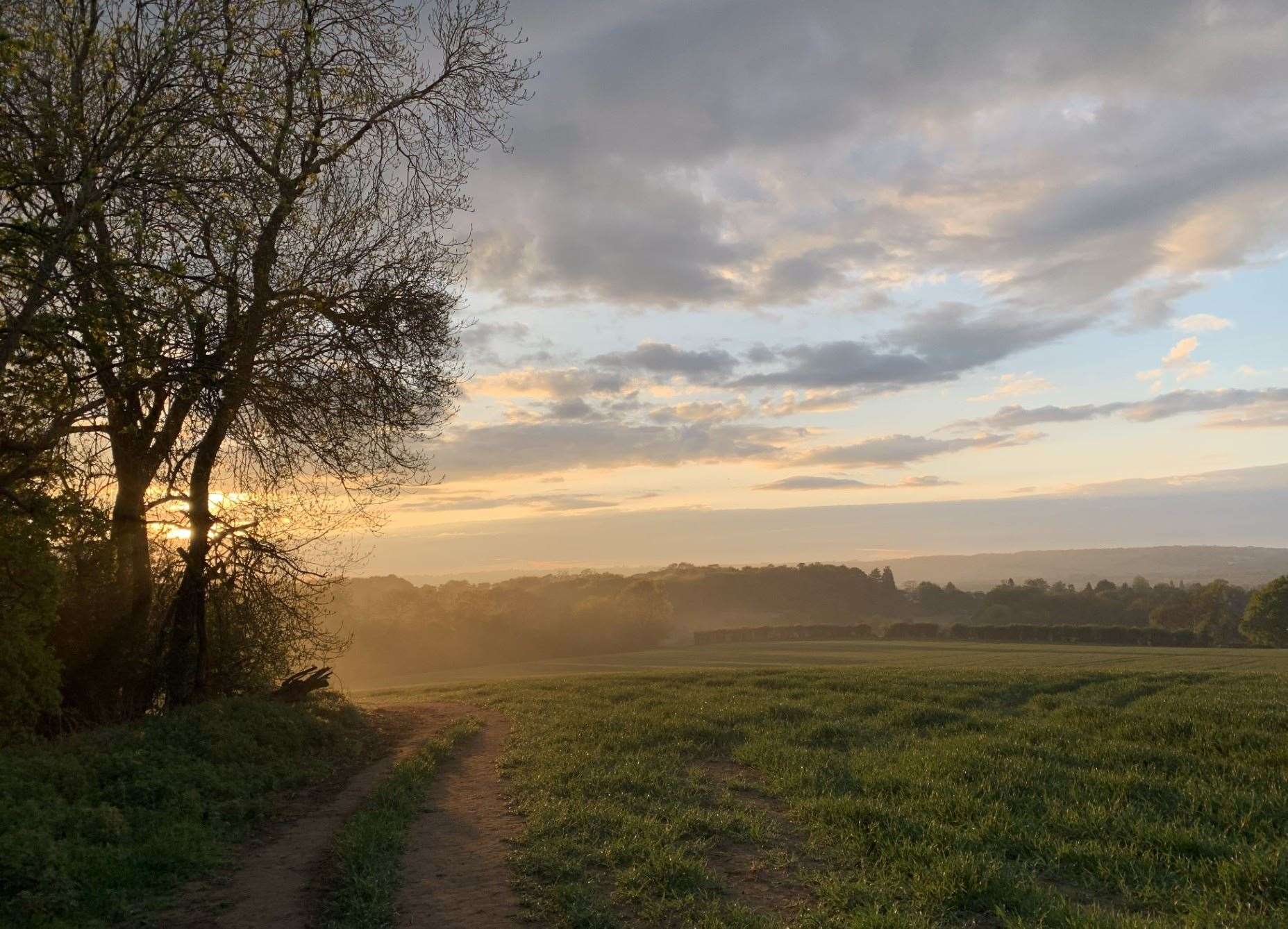 Land off Brittains Lane, Sevenoaks, has been earmarked for development. Picture: Cllr Nick Varley