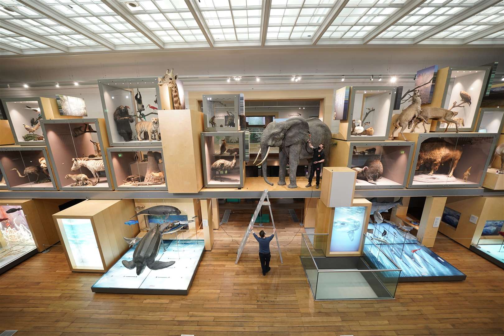 Preparations are under way at the Great North Museum in Newcastle (Owen Humphreys/PA)