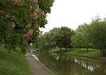 Hythe Military Canal