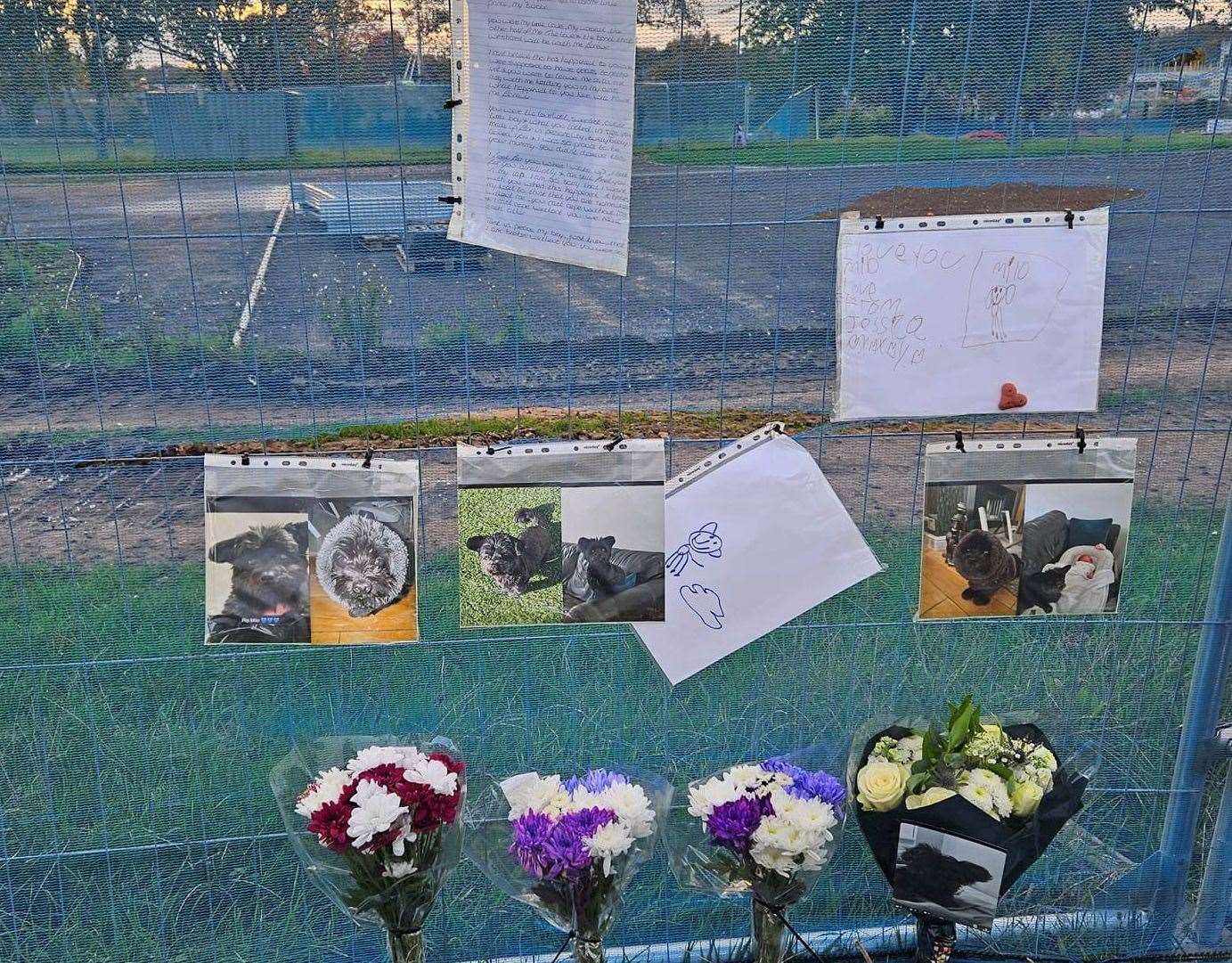 A mini-memorial has been set up on a fence at Stone Recreation Ground where eight-year-old Chihuahua and Yorkie cross Milo was killed. Picture: Stone Parish Council