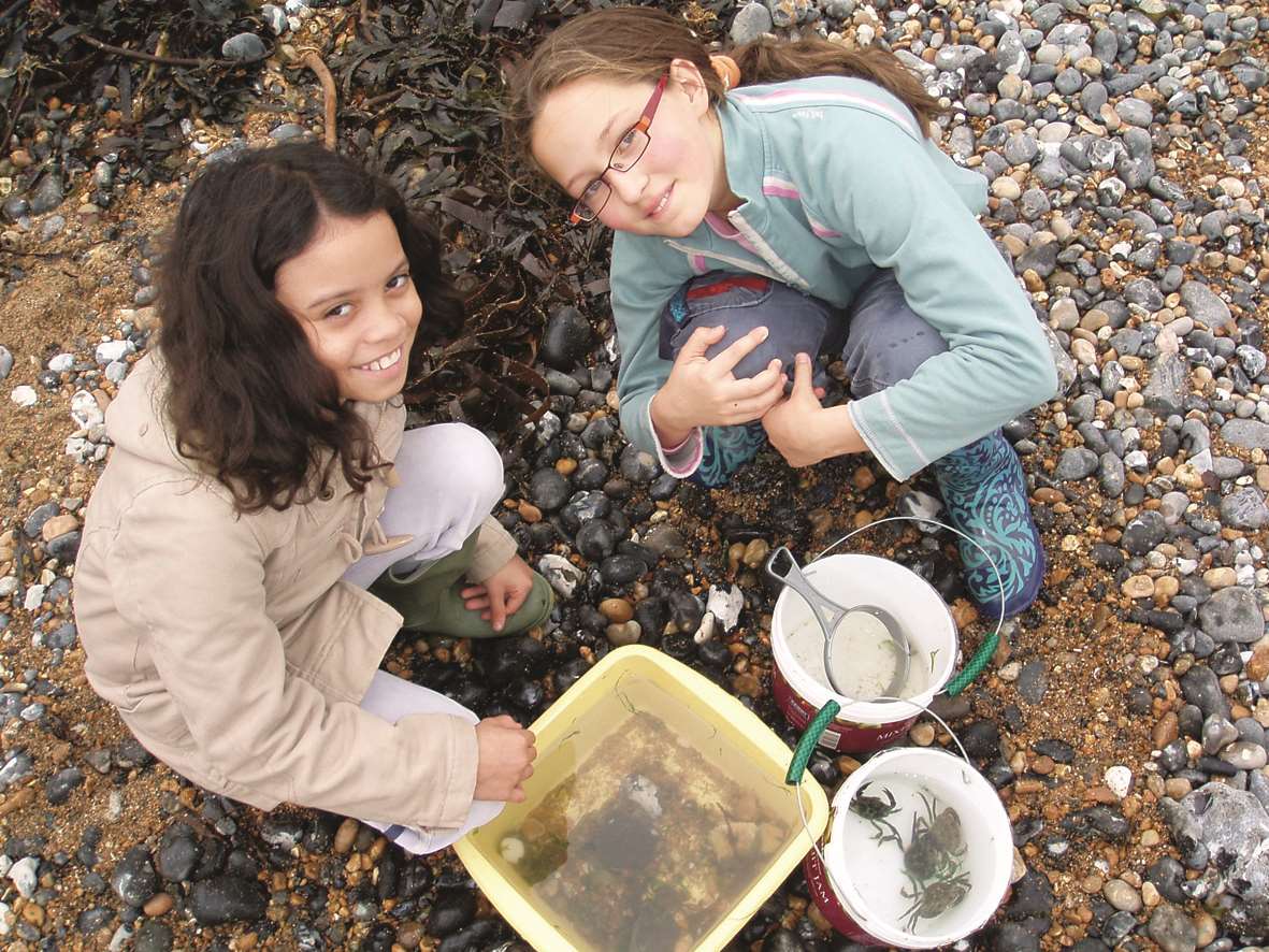 Exploring rock pools