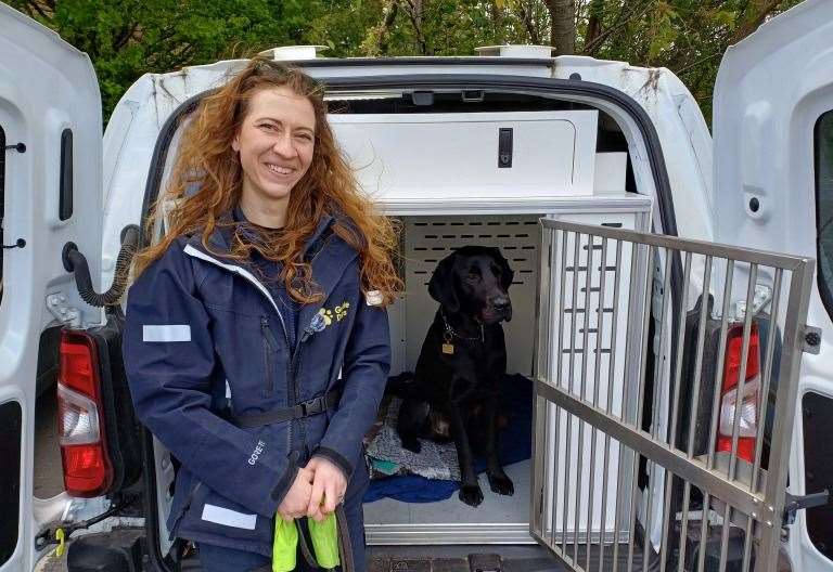 KentOnline spends a day in the life of a guide dog trainer at the Guide Dogs Training Centre in Maidstone