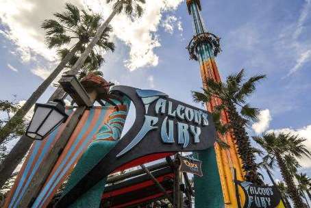 Falcon's Fury at Busch Gardens. Credit: SeaWorld