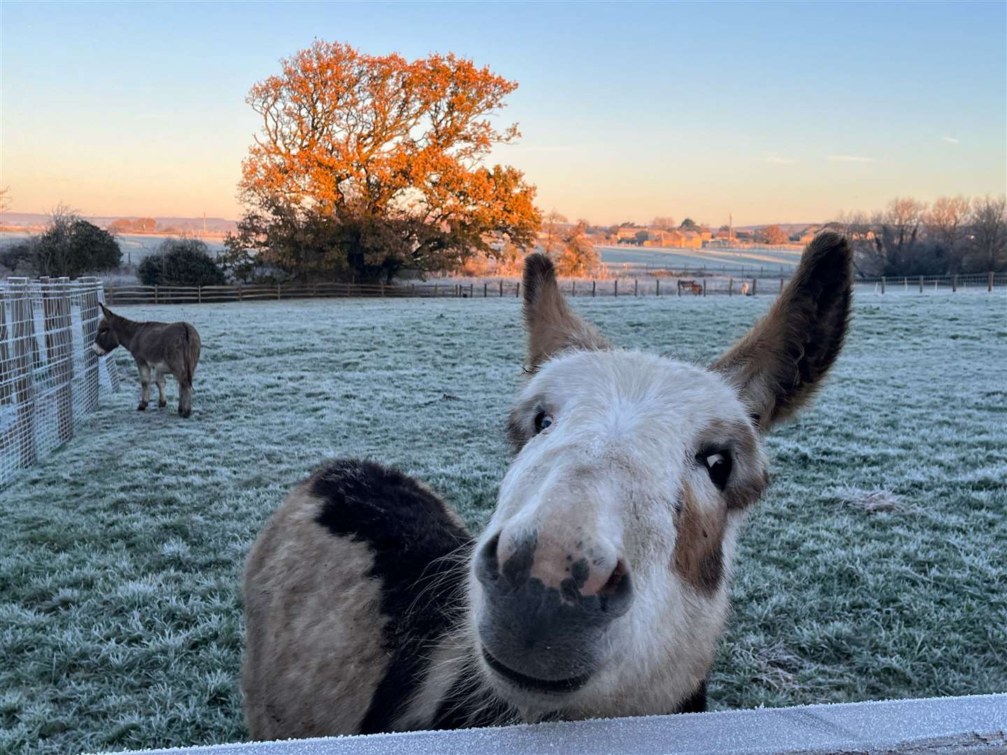 A frosty sunrise in Barnham, West Sussex (Joe Sene/PA)