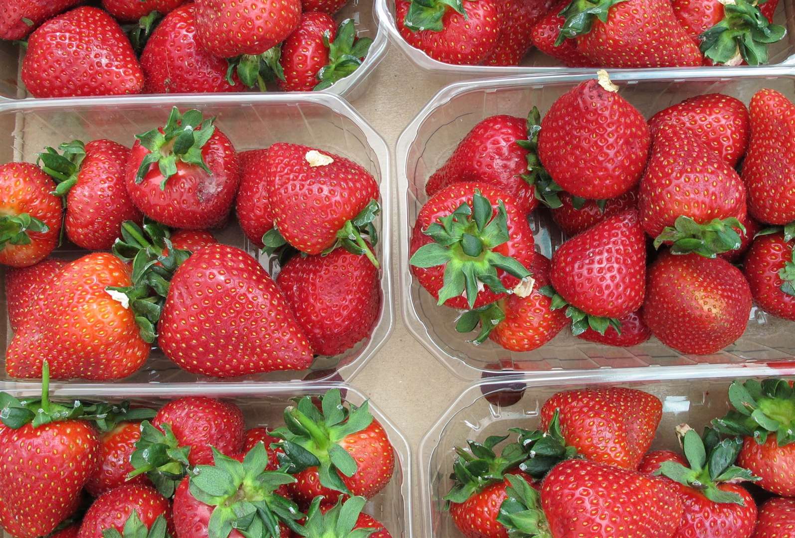 The new installations mean the farm can grow Kent strawberries for longer