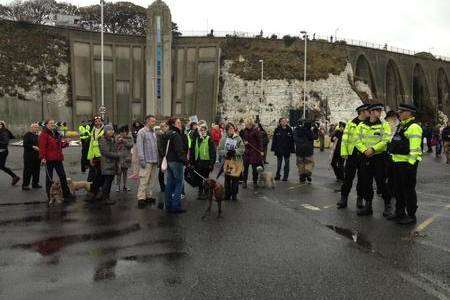 Live animal exports through the port of Ramsgate.