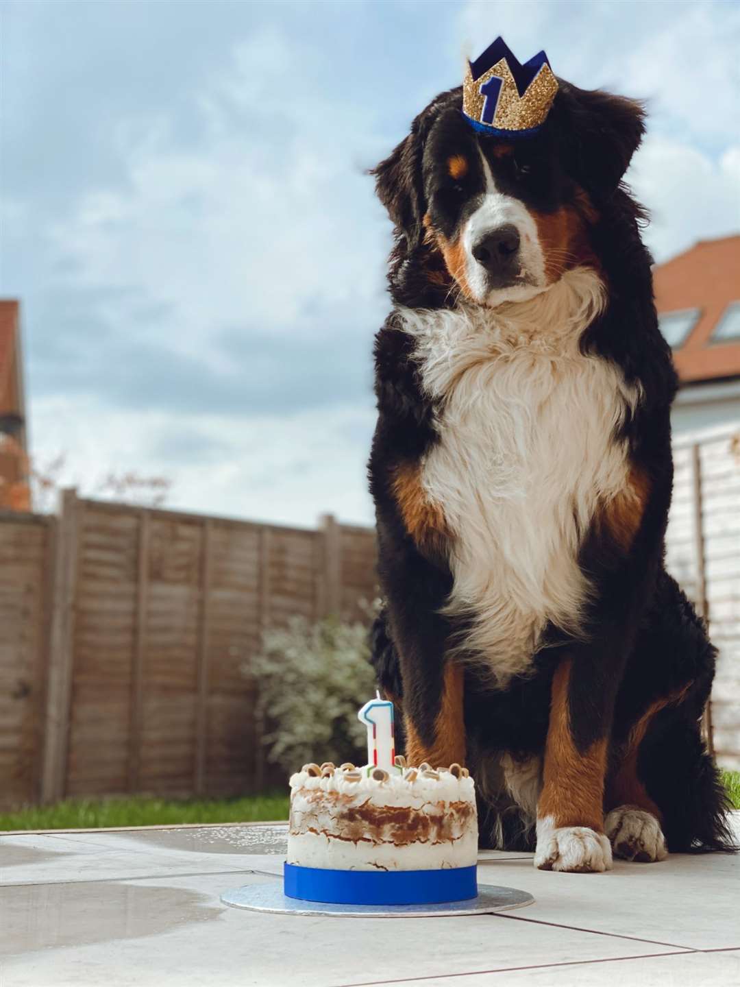 Hudson celebrating his first birthday