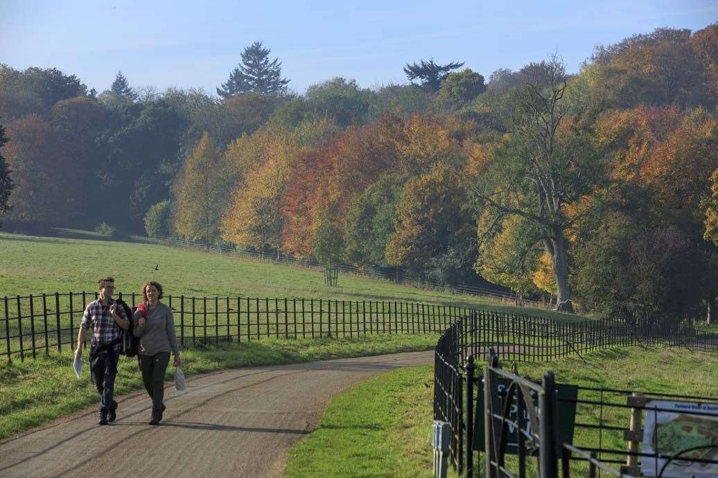 Visitors can claim their free single-use tickets online. Image: National Trust/John Miller.