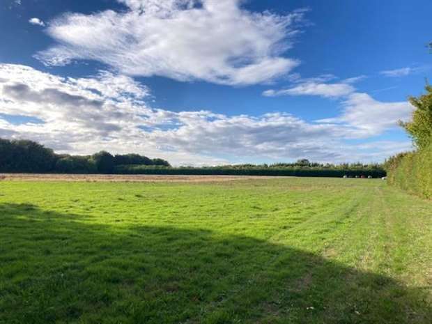 The site of the planned construction of the new winery