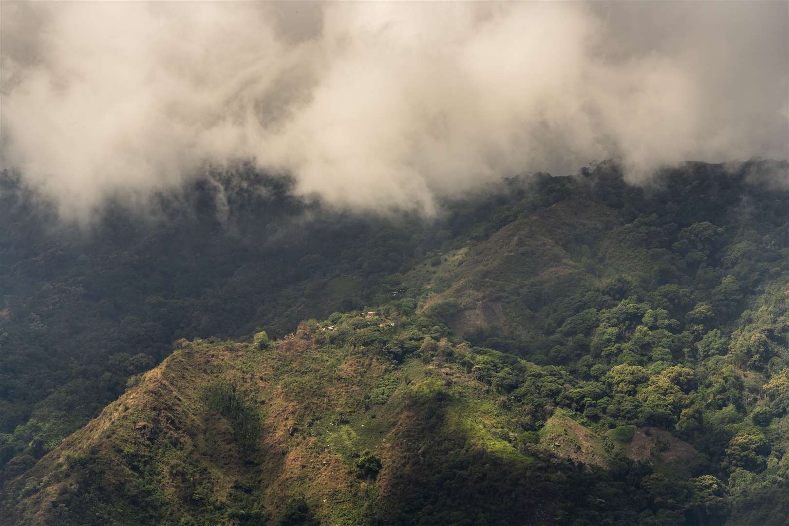 Coffee farms located on the mountain sides high up in the Sierra Nevada de Santa Marta (Chris Terry/Fairtrade)