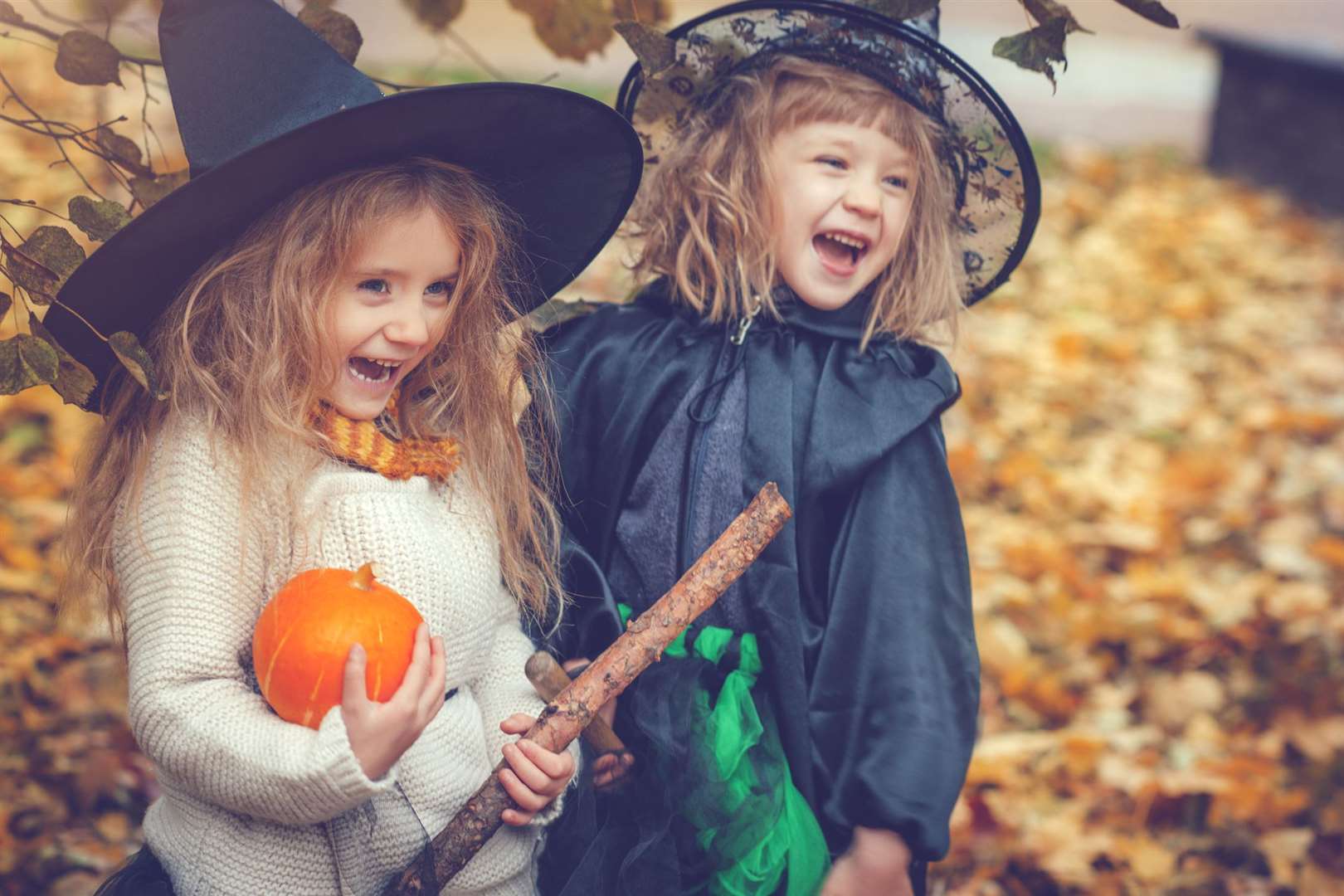 How will you be celebrating Halloween this half term?