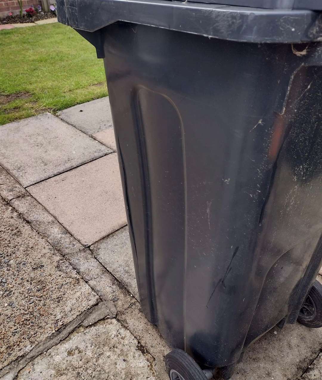Trevor Watson says he has seen both his garden and household bin damaged this month