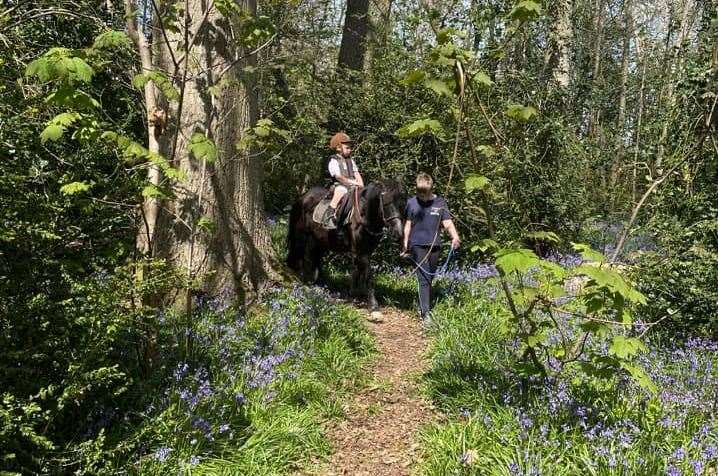 Jack and Joshua with Basil the pony at Cuckoo Riding Centre in Wittersham. Picture: Sarah Field