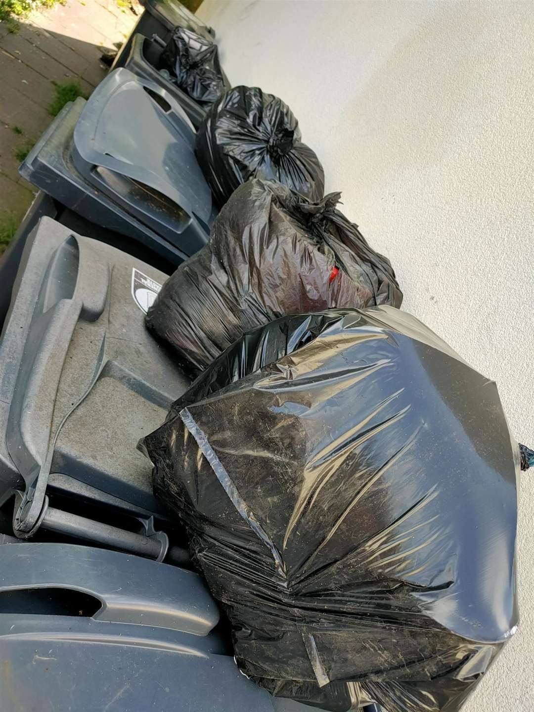 Black bin bags piled high from Brewer Street and Woollett Street. Picture: Joanna Wratten