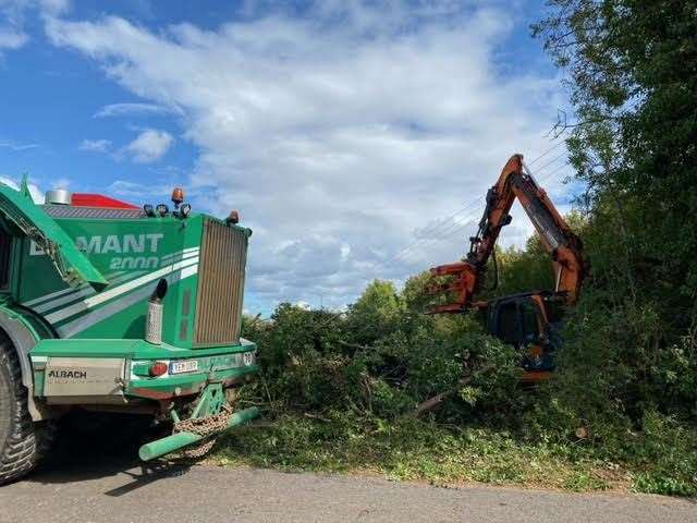 The grabbers and bull-dozers have been busy all week