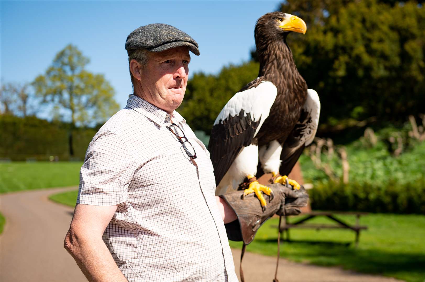 Head falconer Chris O’Donnell exercises a Steller’s Sea Eagle at Warwick Castle (Jacob King/PA)