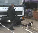 A sniffer dog from Surrey Police entering the house with its handler