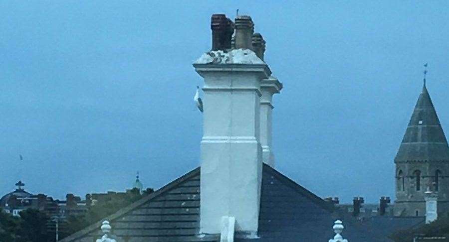 The seagull was stuck on the side of a chimney by its beak. Picture credit: Danny Pope