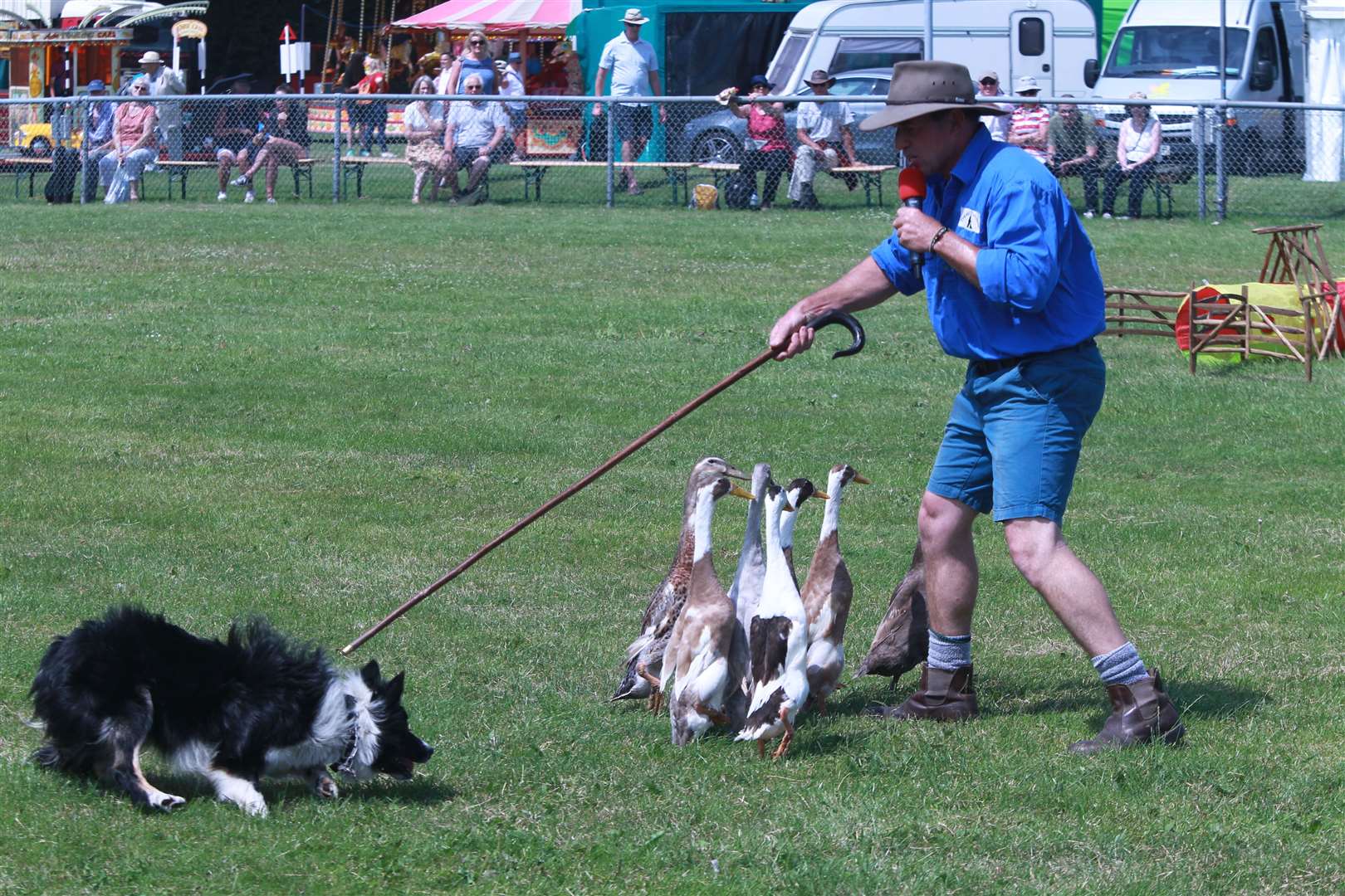 Stuart Barnes with his duck-herding sheepdog