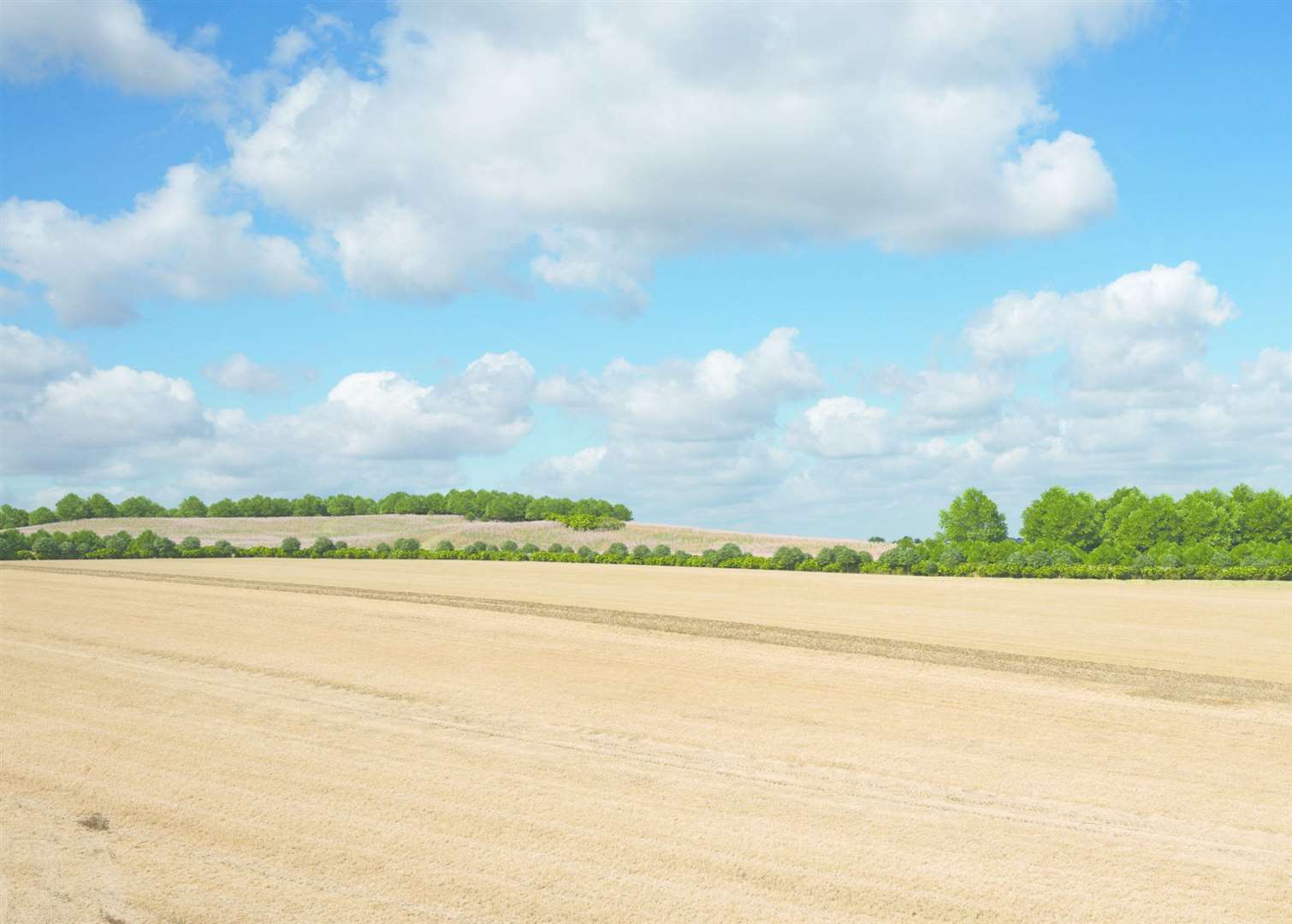 The proposed Chalk Park area near the Lower Thames Crossing entrance, east of Gravesend