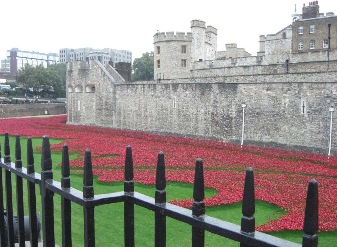 Ceramic poppies in the moat at the Tower of London for the project Blood Swept Lands and Seas of Red which marks the centenary anniversary of the First World War