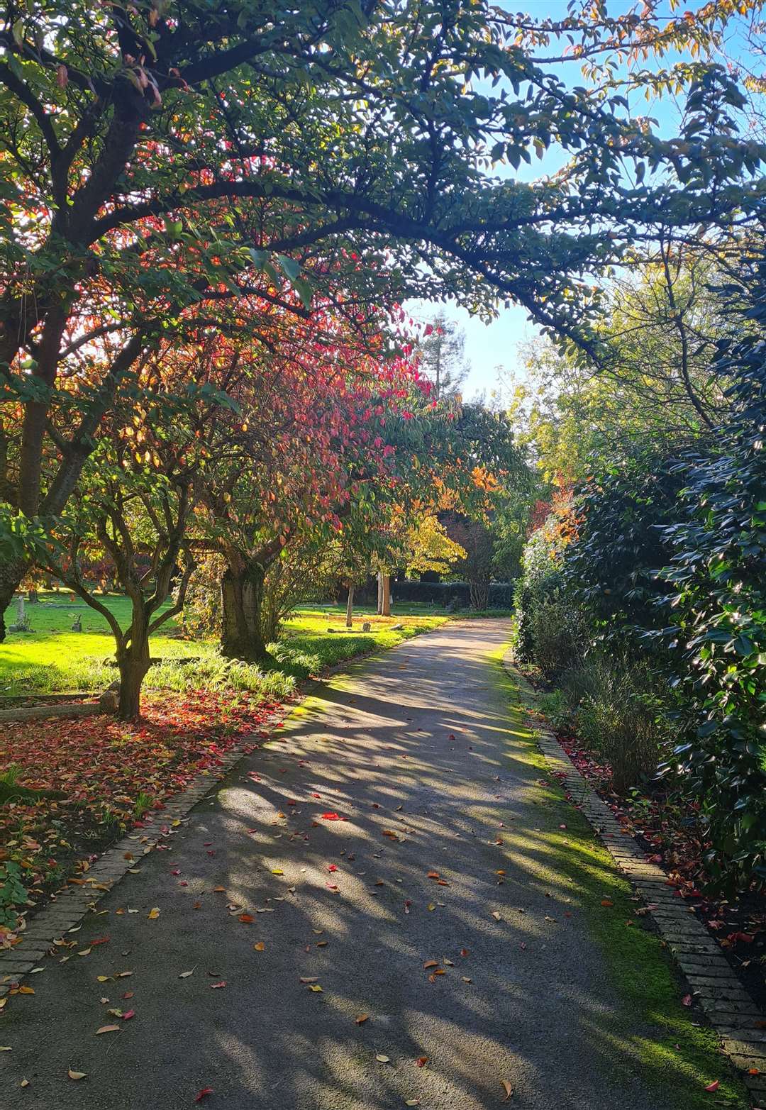 The beauty of Canterbury Cemetery in the autumn sunlight