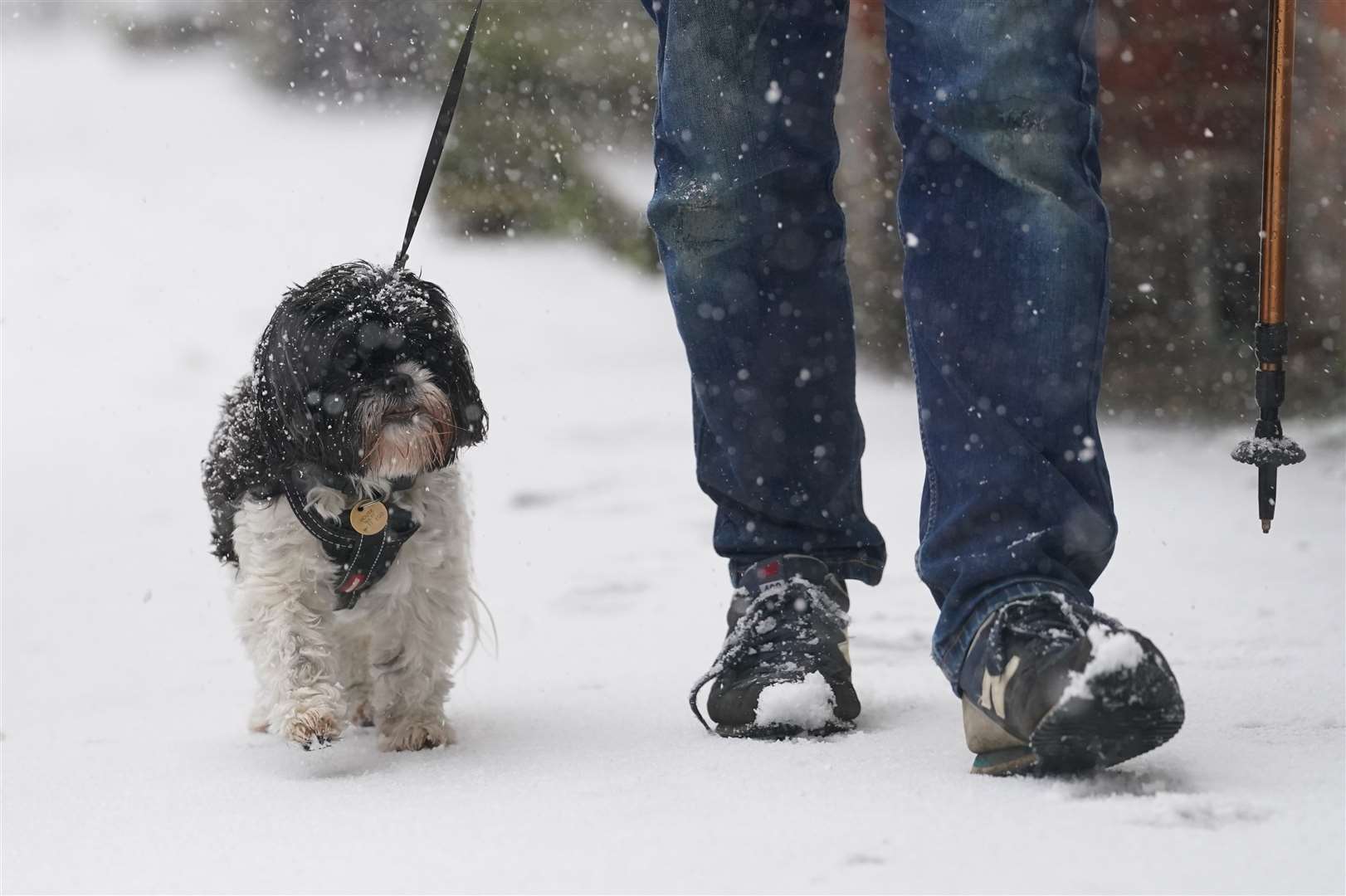 A man walks a dog through a snow flurry in Lenham, Kent (Gareth Fuller/PA)