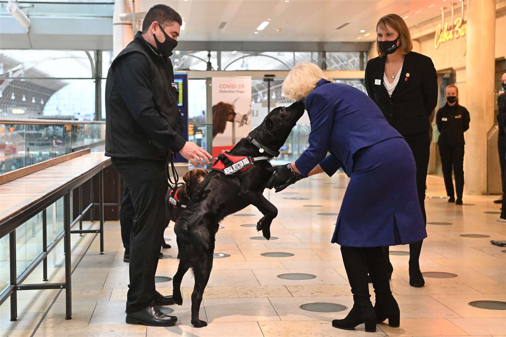 The Duchess of Cornwall has previously seen Medical Detection Dogs in action (Justin Tallis/PA)