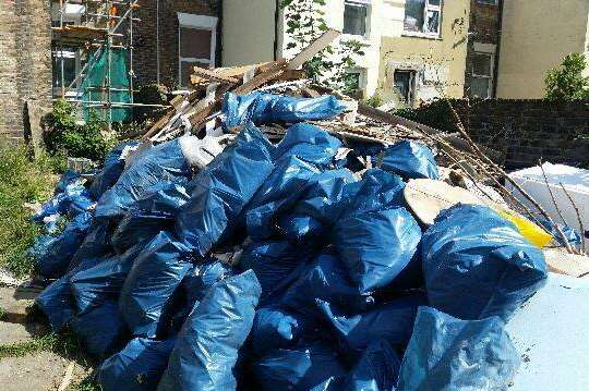 The cats were found living in a rubbish heap