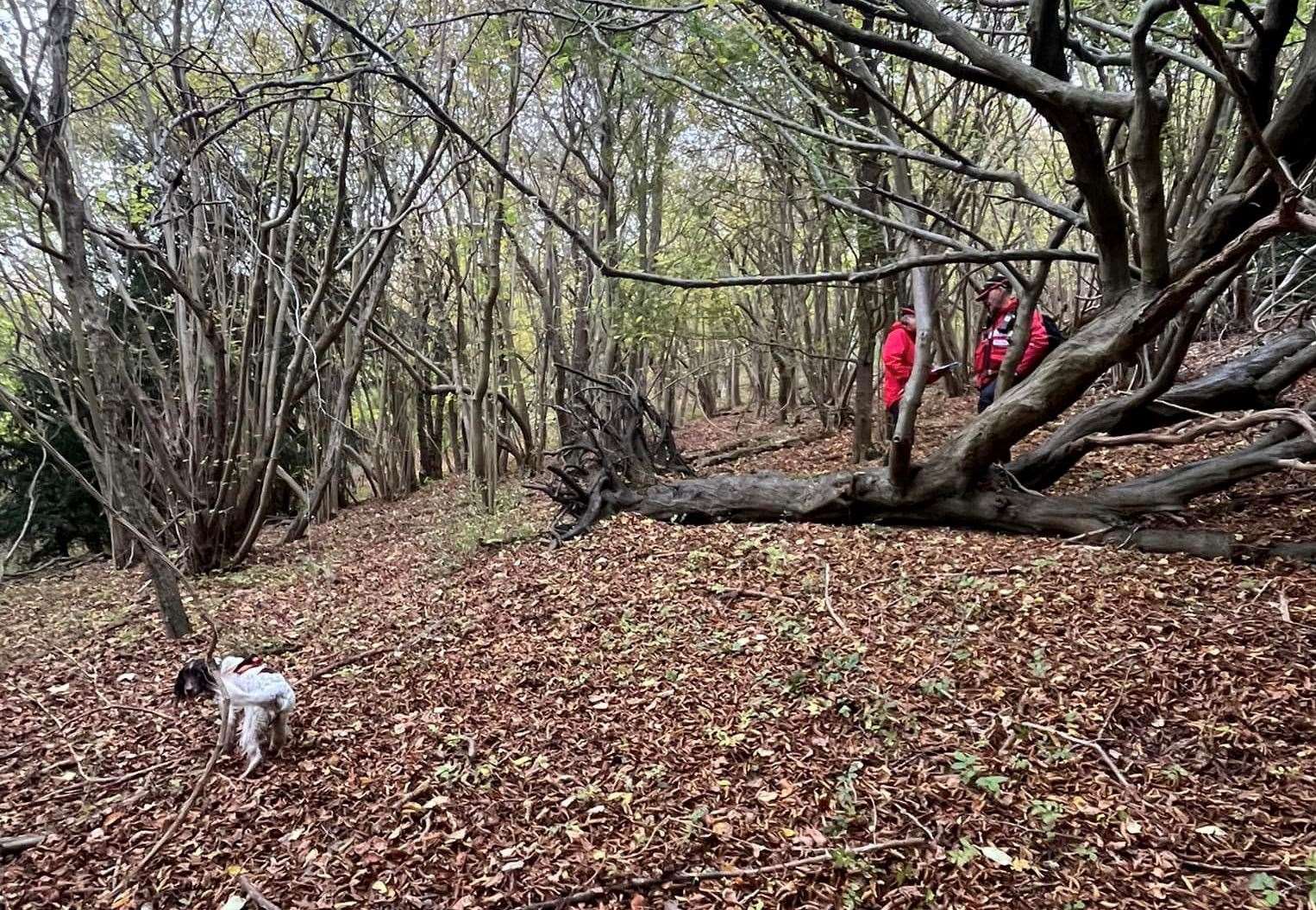 Dog teams, including Kent Search and Rescue dog Bonnie, have been looking for him. Picture: Search Dog Bonnie