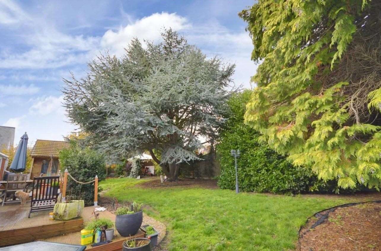 A look at the rear garden. Picture: Zoopla / Zest