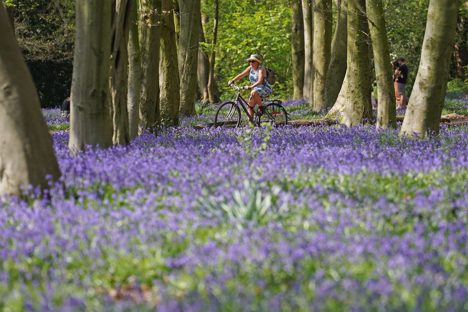 The previous high was recorded in March (Stefan Rousseau/PA)