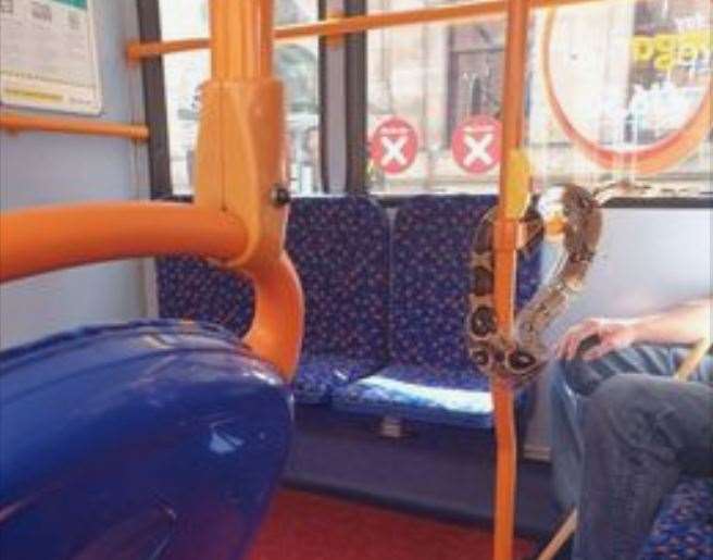 Transport for Greater Manchester said they did not believe a snake counted as a valid face covering (PA)