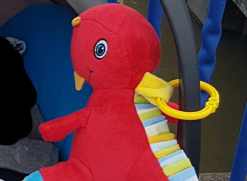 The stolen baby toy. Pic: Kent Police