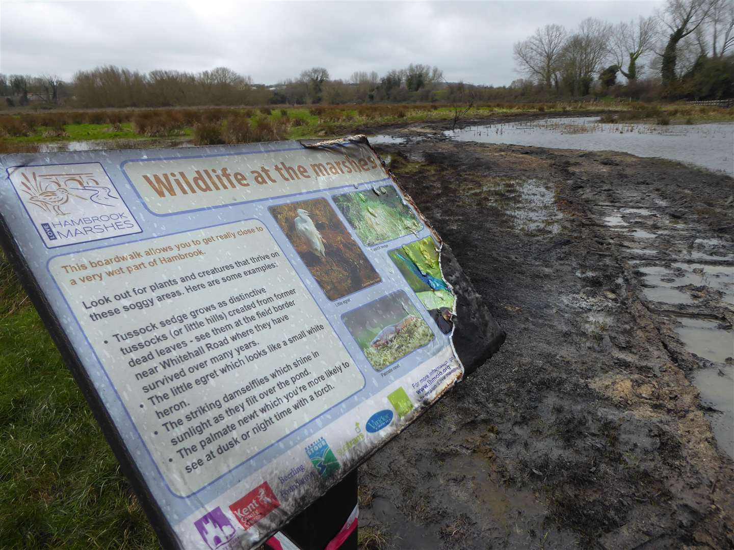 An information panel has been partially destroyed by the flames. Picture: Sian Pettman (29359770)