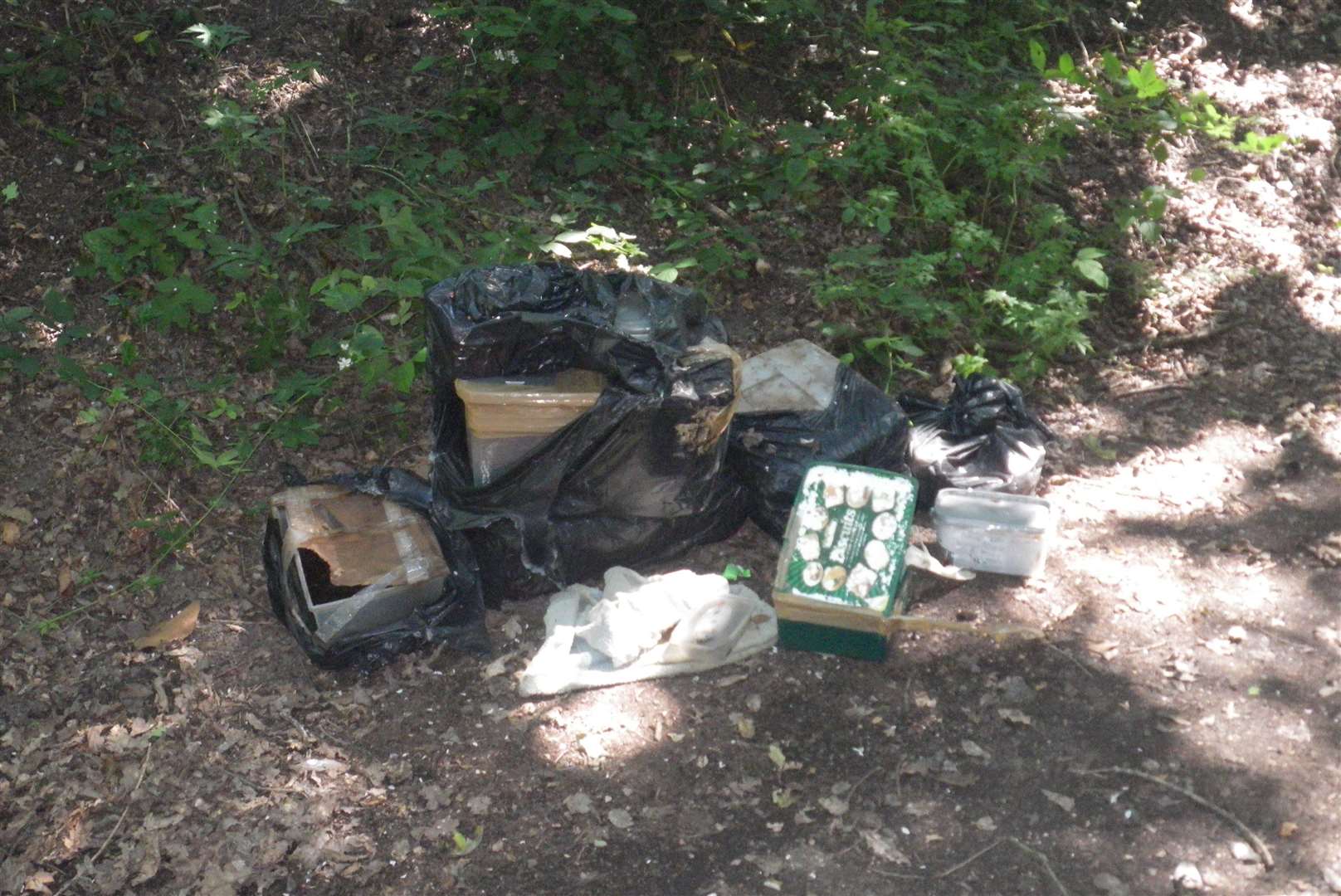 The bodies of 10 dead animals were found in sealed boxes near Tunbridge Wells earlier this month