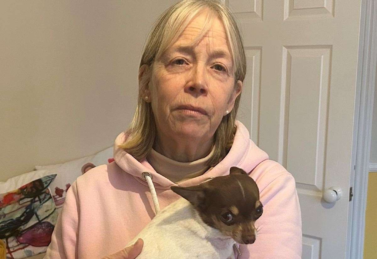 Dog Injured by Cyclist in Swalecliffe, Owner Faces £1300 Vet Bill